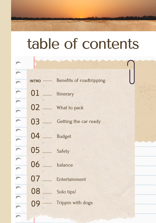 A Girls Guide to Roadtripping - eBook